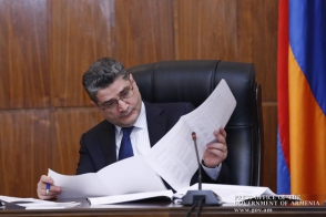 «Երբվանի՞ց է կառավարությունը որոշումներ ընդունում այն մասին, թե ինչ չպետք է արվի»