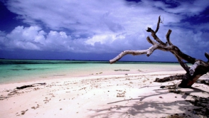 Մարշալյան կղզիներում փրկել են 1.5 տարի բաց ծովում դեգերող տղամարդուն