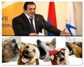 Շունը հաչում է, իսկ քարավանը գնում է