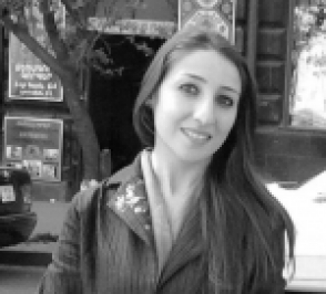 Մերի Մովսիսյան. «Ինչ է սպասվում երկրին 20-օրյա ժամկետի ավարտին»