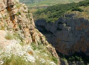 Ինքնասպանություն Գորիսում