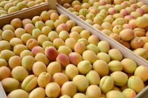 100 грамм абрикосов – 682 драма