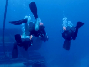 Внук Кусто побил рекорд своего деда по пребыванию под водой (видео)