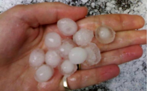 Շիրակի մարզում կարկուտը վնաս է հասցրել