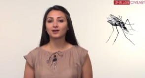 Քո գրպանից՝ մոծակների դեմ պայքարին