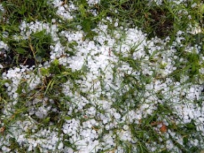 Արագածոտնում կարկուտը ցանքատարածքներ է վնասել