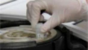 Կսահմանվեն դատաբժշկական փորձաքննությունների միասնական կանոններ