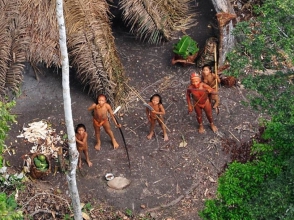 Жившие в изоляции бразильские индейцы вышли из джунглей