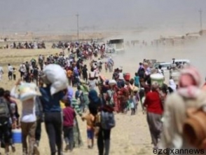 ՀԿ նախագահ. «Իսլամիստներն իրենց առաջ նպատակ են դրել ոչնչացնել եզդիներին»