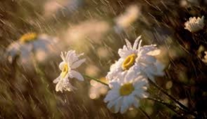 Առանձին վայրերում հնարավոր է կարկուտ