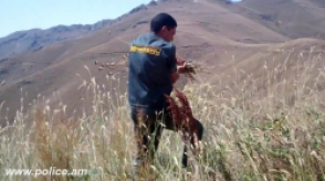 Ամփոփ տեղեկատվություն «Կանեփ-կակաչ-2014» համալիր օպերատիվ-կանխարգելիչ միջոցառման անցկացման արդյունքների վերաբերյալ