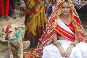 Հնդիկ աղջիկն ամուսնացել է շան հետ