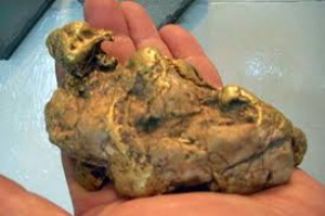 Ոսկու հանքից գողություն կատարողներին հայտնաբերեցին