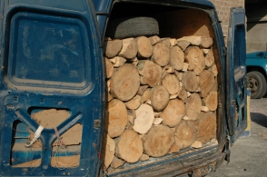 «Դիլիջան» ազգային պարկ ՊՈԱԿ-ի պահպանության բաժնի բացահայտումները