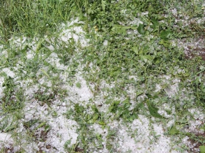 Կարկտահարությունից տուժած Արփենի, Կրասար և Աշոցք համայնքներին աջակցություն կցուցաբերվի