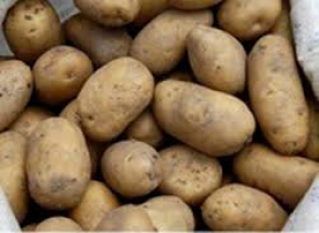 Հրաչ Բերբերյան. «Կարտոֆիլի կգ–ն՝ 200-300 դրամ»