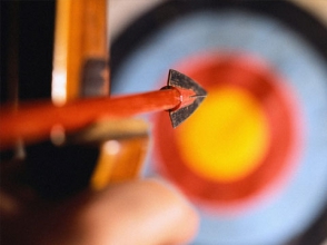 Ամերիկացին նետահարել է մորը