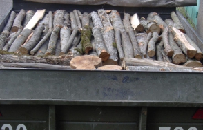 ՀՀ բնապահպանության նախարարության կիրառած պատժամիջոցներից պետական բյուջե մուտք է եղել 1,85 մլն դրամ գումար