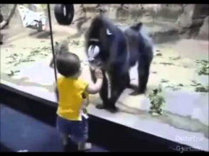 Дети и животные
