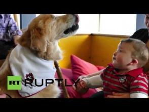 Կույր շունն օգնում է աուտիզմով հիվանդ երեխաներին (տեսանյութ)