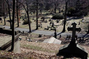 В США на кладбище памятник тёще убил зятя (видео)