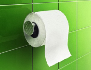 Туркам разрешили пользоваться туалетной бумагой