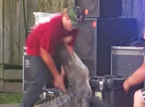 Не играйте с аллигаторами!