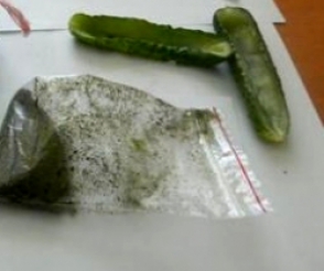 «Հրազդան» ՔԿՀ–ում պահածոյացված թթու վարունգի միջից հայտնաբերել են կանաչավուն չոր զանգված