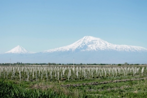 ՀՀ գյուղատնտեսության նախարարությունը զգուշացնում է