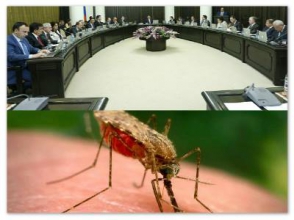 На борьбу с комарами правительство РА выделило 15 млн драмов