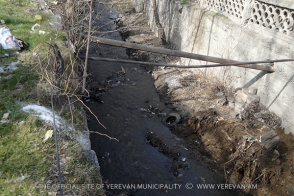 Բնապահպան. «Գետառն ասֆալտապատելը մեծ սխալ էր»