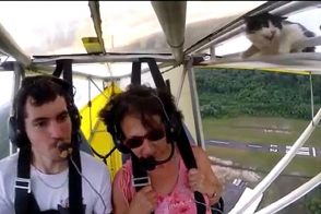 «Уберите кота перед полетом»