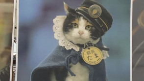Ճապոնիայում հանդիսավոր թաղել են կայարանապետ կատվին (տեսանյութ)
