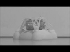 Հարվարդցի գիտնականները ստեղծել են առաջին փափուկ ռոբոտը (տեսանյութ)