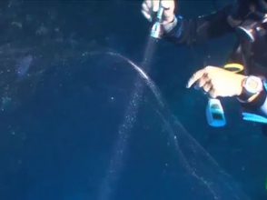 У берегов Турции дайверы обнаружили загадочную гигантскую сферу (видео)