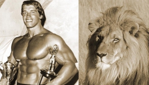 Շվարցենեգերը Սեսիլ առյուծին սպանողին ցույց է տվել իրական ավարները (լուսանկար)