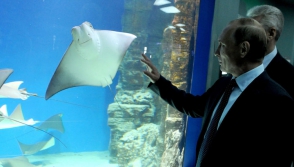 Путина заинтересовал аквариум с пираньями (видео)