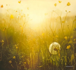 Օդի ջերմաստիճանը 17-18-ին կնվազի 2-3 աստիճանով