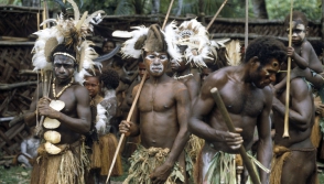 Պապուա Նոր Գվինեայում ձերբակալել են 54 մարդակերի