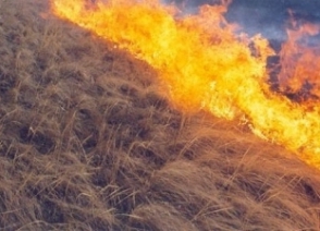 «Էրեբունի» ԲԿ-ի մոտակայքում այրվել է 700 քմ խոտածածկ տարածք