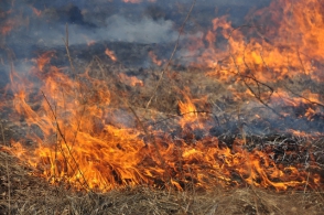 Հայկական Կարմիր խաչի ընկերության մոտակայքում այրվել է 1000 քմ խոտածածկույթ