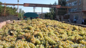 Արարատում գյուղացիները կրկին փակել են ճանապարհը