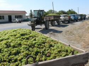 Փոխնախարար. «Ֆորսմաժորային իրավիճակ է ստեղծվել»