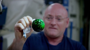 Астронавты МКС показали эксперимент с водой и краской