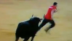 На корриде в Испании бык оставил мужчину без трусов