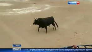 В Перу во время корриды разъяренный бык запрыгнул на зрительскую трибуну (видео)