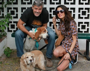 Ջորջ Քլունին և նրա կինը երրորդ շանն են վերցրել ապաստարանից