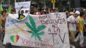 Верховный суд Мексики одобрил личное потребление марихуаны