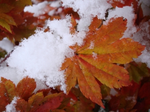Օդի ջերմաստիճանը 15-ին էապես չի փոխվի