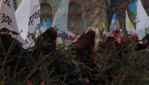 У здания Верховной рады в Киеве на ёлках повесили отрезанные головы коров (видео)